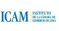 Cliente IBO — Agencia de Marketing Digital